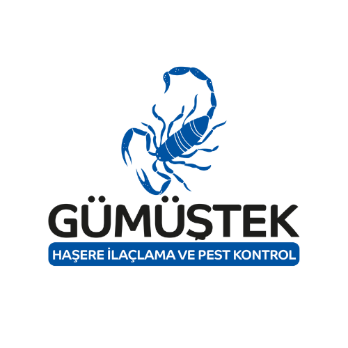 Adsız tasarım